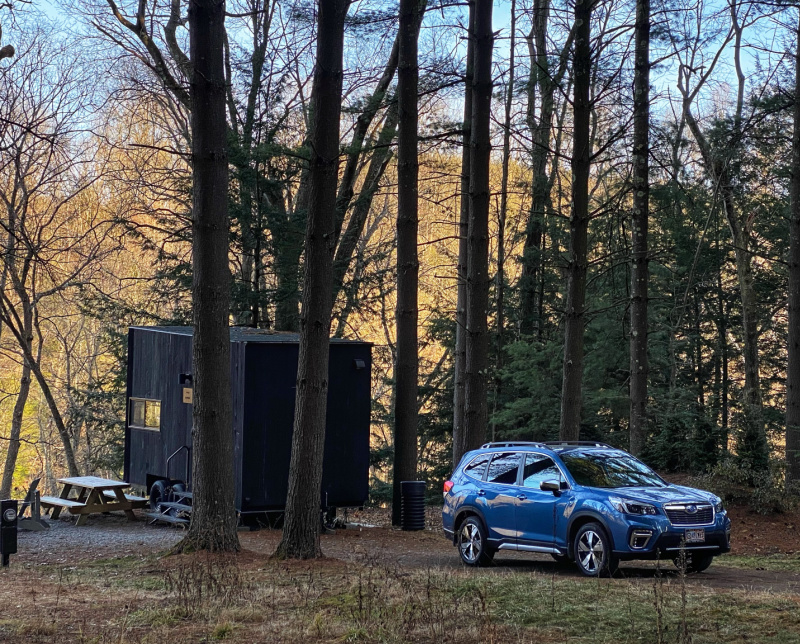 At home in the Forest with our Forester