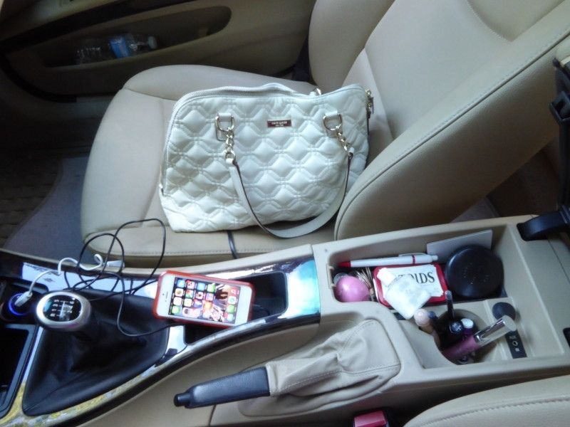 Car beauty essentials