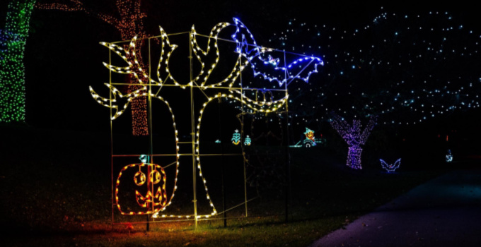 Halloween Light Show