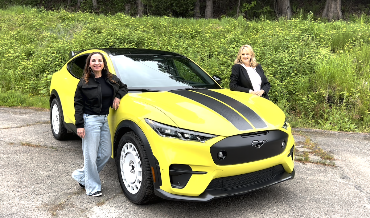 Electric Cars Ev Purchase