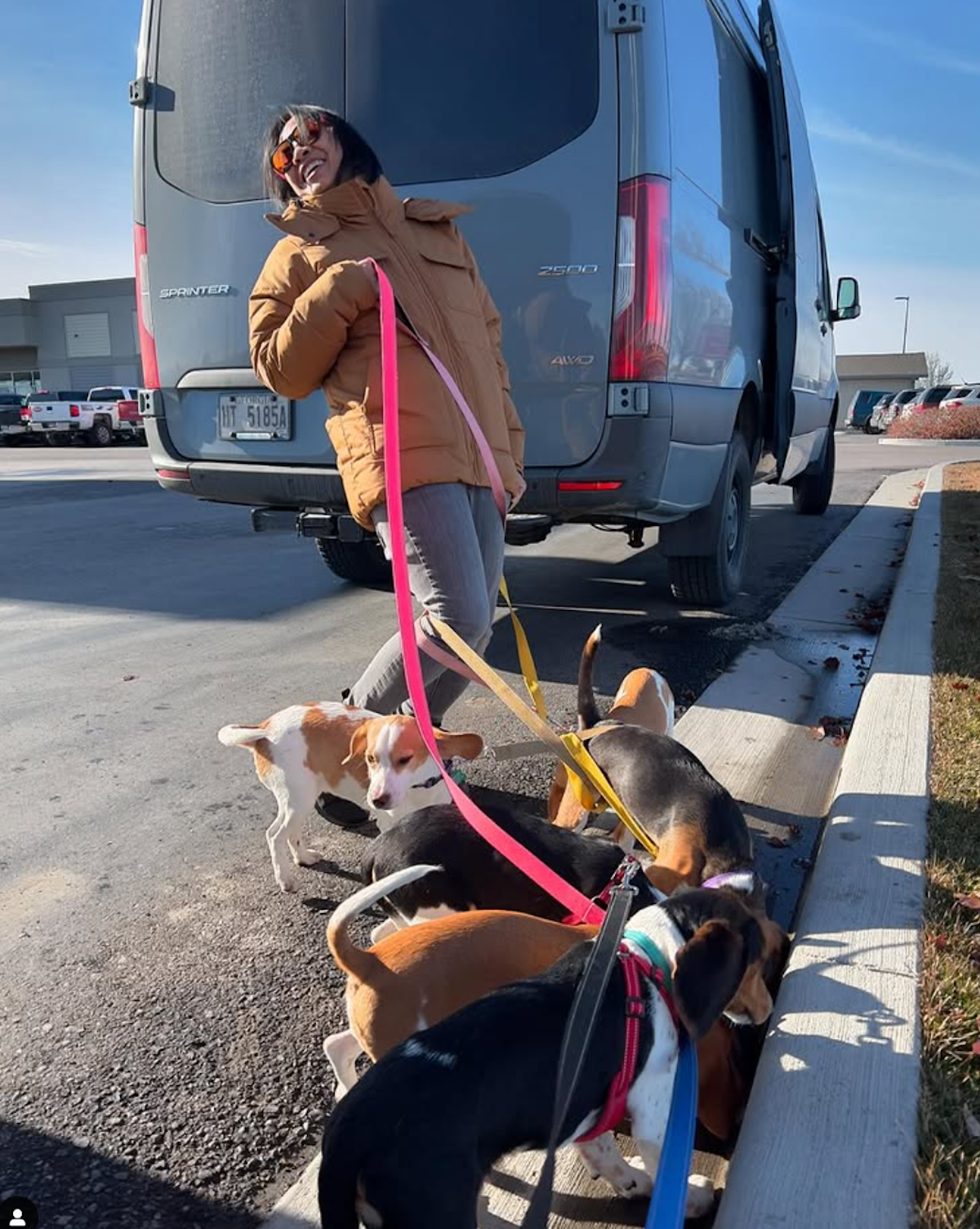 Beverly Braga With Operation Frodo Rescue Dogs Harvey Briggs