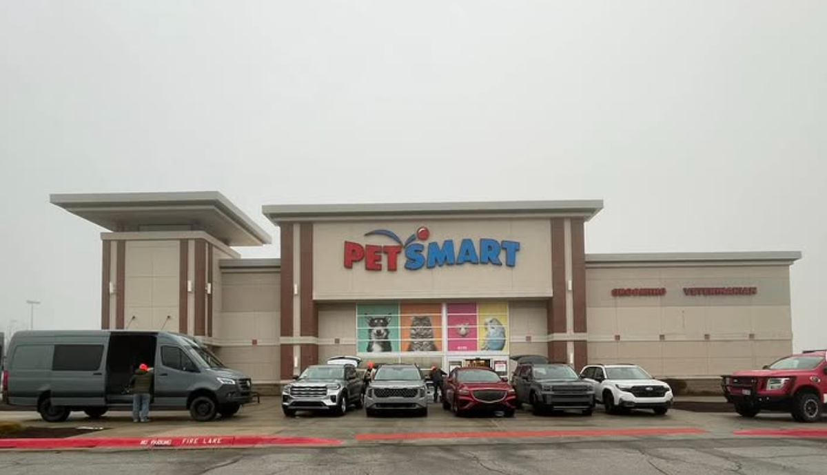 Operation Frodo Rescue Dogs