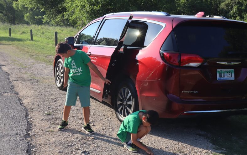 My Boys In Younger Days