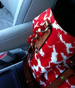 Handbag Space In The Toyota Sienna Minivan